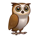 🦉