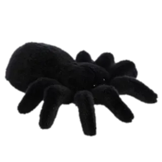 🕷 ragno, aracnide, nero, animale, insetto telegram sticker