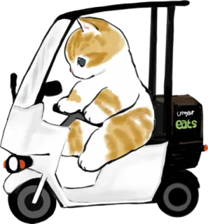 🛺 Umar eats cat, uber eats, delivery, animal, scooter telegram sticker