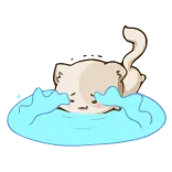 😭 gato, chorando, água, triste, animal de estimação, animal telegram sticker