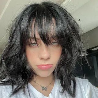 🍯 Billie Eilish Billie Eilish, penyanyi, selebriti, bintang pop, musisi, artis, potret telegram sticker