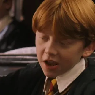 🦁 Ron Weasley Harry Potter ロン・ウィーズリー, ハリー・ポッター, 魔法使い, キャラクター, 映画, ファンタジー telegram sticker