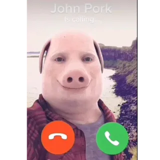 🐷 John Pork John Pork is calling telegram sticker