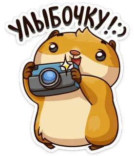 📷 УЛЫБОЧКУ!! Hamster, Kamera, Niedlich, Tier, Sticker, Fotografie telegram sticker
