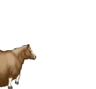 🤩 cow, animal, farm, livestock, cattle, mammal telegram sticker