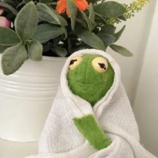 🙂 Kermit the Frog кермит, лягушка, кукла, маппет, зеленый, полотенце, расслабляющий, милый telegram sticker