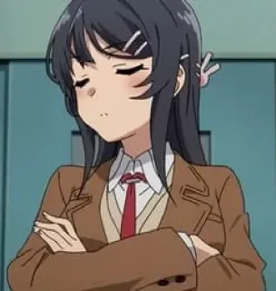 😕 Mai Sakurajima Rascal Does Not Dream of Bunny Girl Senpai Anime, Ragazza, Uniforme scolastica, Sakurajima Mai, Bunny Girl Senpai, Personaggio, Cartone animato telegram sticker