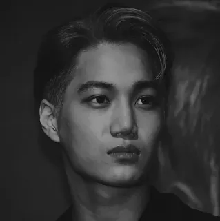 ⛓ osoba, portret, mężczyzna, czarno-białe, kpop, idol telegram sticker