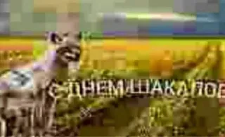 🐆 С ДНЕМ ШАКАЛОВ telegram sticker