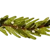 🎄