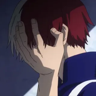 😖 Shoto Todoroki My Hero Academia Anime, Shoto Todoroki, My Hero Academia, Karakter, Sedih, Emosional, Menangis whatsapp sticker