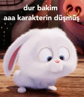 🙃 dur bakim
aaa karakterin düşmüş 토끼, 만화, 웃긴, 귀여운, 토끼, 동물 whatsapp sticker