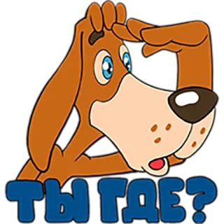 😂 ТЫ ГДЕ? Hund, russisch, Cartoon, Wo bist du, Suche, Frage telegram sticker