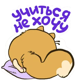 😂 учиться не хочу gatto, pigro, assonnato, carino, cartone animato, animale, cuscino, stanco telegram sticker
