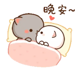 🛏 晚安啦‼️ chat, lit, dormir, oreiller, mignon, animaux whatsapp sticker