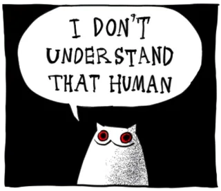 🤔 I DON'T UNDERSTAND THAT HUMAN 猫, 動物, 面白い, ミーム, ユーモア, テキスト, 吹き出し, 混乱 telegram sticker