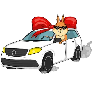 🚘 wiewiórka, samochód, okulary przeciwsłoneczne, kokarda, zwierzę, jazda, pojazd telegram sticker