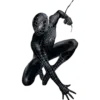 🕸