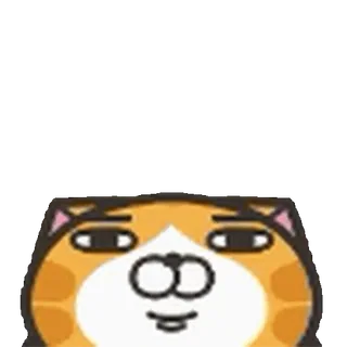 🐱