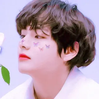 🦋 портрет, мужчина, человек, лицо, бабочка telegram sticker