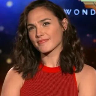 🤔 Wonder Woman WONDER gal gadot, actress, celebrity, wonder woman telegram sticker