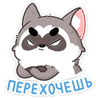 😡 ПЕРЕХОЧЕШЬ szop pracz, zwierzę, kreskówka, naklejka, tekst, rosyjski whatsapp sticker