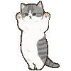 💃