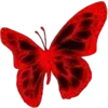 🦋