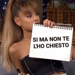 😒 SI MA NON TE L'HO CHIESTO Meme, Italiano, Divertido, Sarcástico, Expresión, No pregunto whatsapp sticker