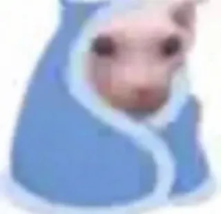 😐 chat, mignon, couverture, sphynx, animal de compagnie, animal telegram sticker