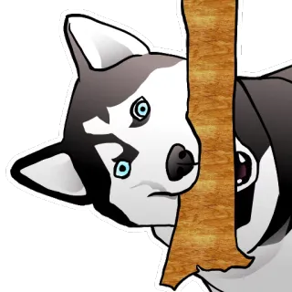 😶 Husky, Chó, Nhìn trộm, Hoạt hình, Động vật telegram sticker
