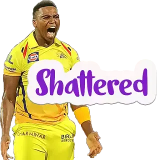 😊 Shattered Kriket, Olahraga, Emosi, Kegembiraan, Atlet, Hancur, Perayaan telegram sticker