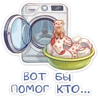 ⭐ Вот бы помог кто... furão, roupa, máquina de lavar, fofo, animal, meias, desenho animado telegram sticker