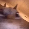 🥴