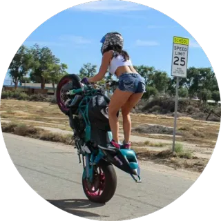 🏍 moto, wheelie, acrobacia, moto, estrada, limite de velocidade telegram sticker
