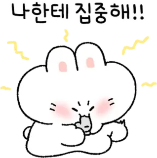 💬 나한테 집중해!! dễ thương, thỏ, sticker, động vật, hoạt hình telegram sticker
