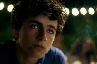 🦇 timothée chalamet, actor, retrato, celebridad telegram sticker