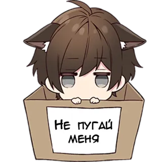 😨 НЕ ПУГАЙ МЕНЯ аниме, кот мальчик, коробка, текст, русский telegram sticker