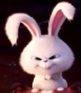 🐰 Snowball The Secret Life of Pets conejo, dibujos animados, animal, divertido, mascota, lindo whatsapp sticker