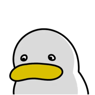 💬 鸭子, 鸟, 动物, 卡通 telegram sticker