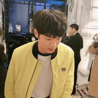 🖇 whatsapp sticker