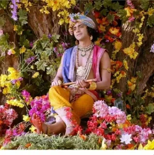 🐣 Krishna Krishna, Indian deity, Hinduism, religious figure, spiritual, deity, Radha Krishna telegram sticker