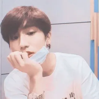 🐿 whatsapp sticker
