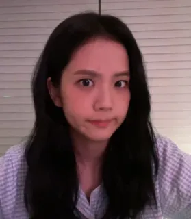 😐 Jisoo kpop, chanteur, asiatique, célébrité, selfie telegram sticker