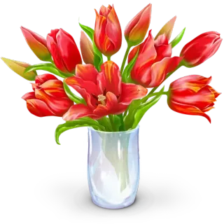 🌹 flowers, tulips, vase, bouquet, floral whatsapp sticker