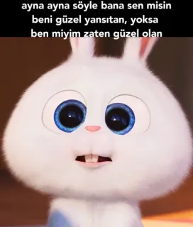 🍓 ayna ayna söyle bana sen misin
beni güzel yansıtan, yoksa
ben miyim zaten güzel olan 토끼, 흰 토끼, 귀여운, 동물, 애니메이션, 만화 whatsapp sticker