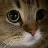 😕