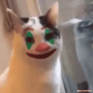 🤡 猫, 小丑, 动物, 表情包, 搞笑, 宠物 whatsapp sticker