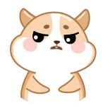 🤨 동물, 햄스터, 귀여운, 화난, 만화 telegram sticker