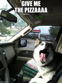 🍕 Mishka Mishka the Talking Husky GIVE ME THE PIZAAAAA telegram sticker